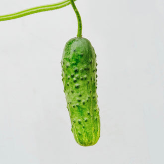 7082 Cucumber Dolma