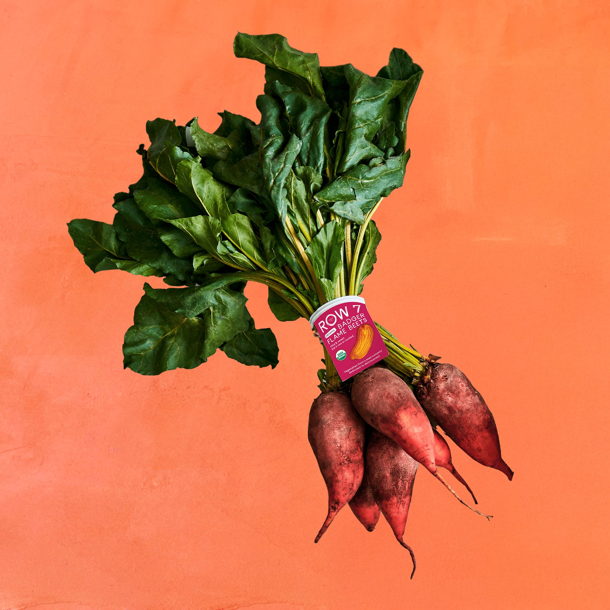 Badger Flame Beets