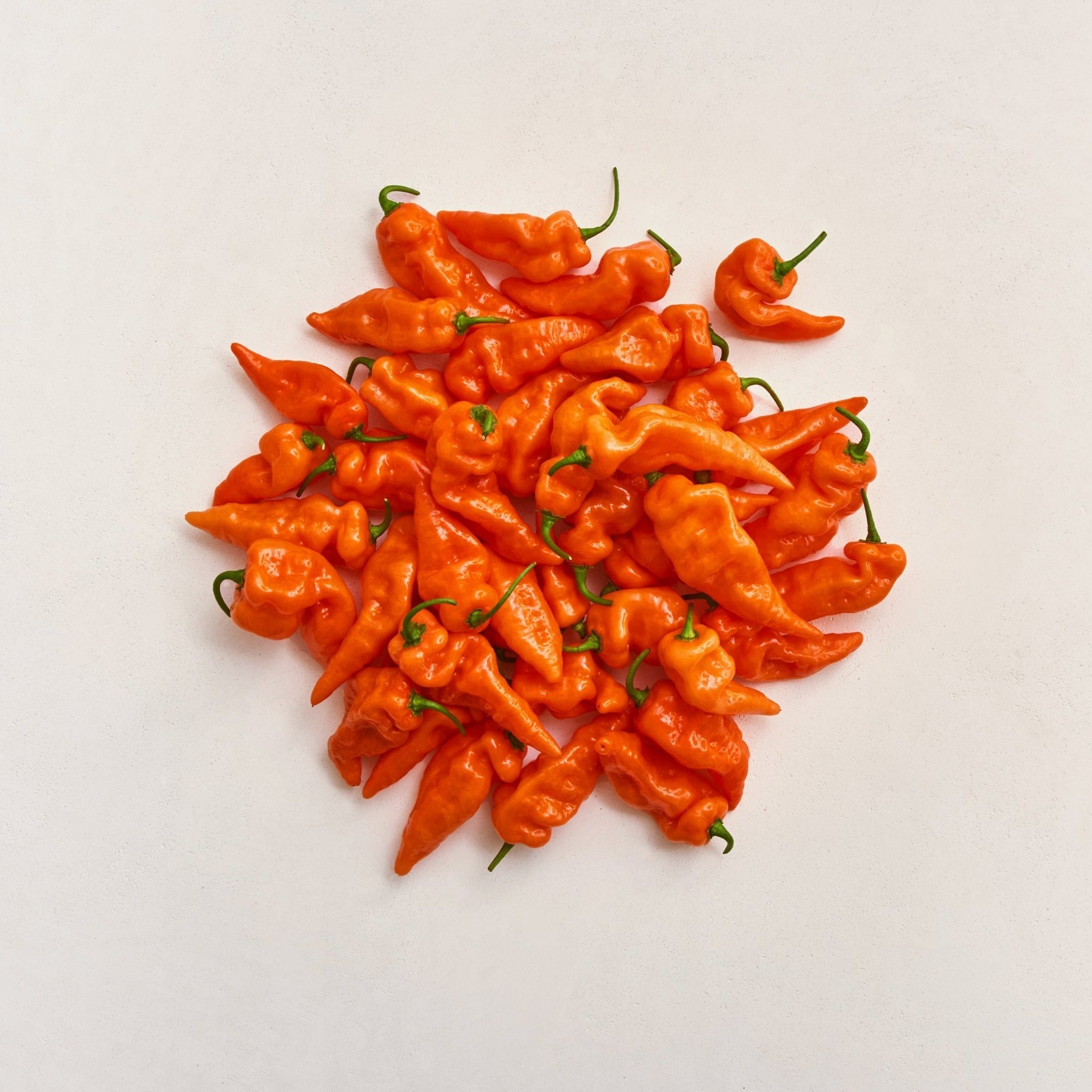 Habanada Pepper Seeds