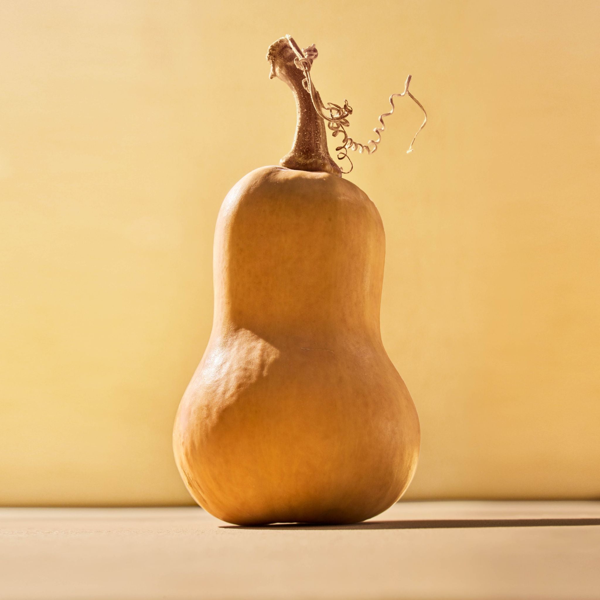 Honeypatch Squash