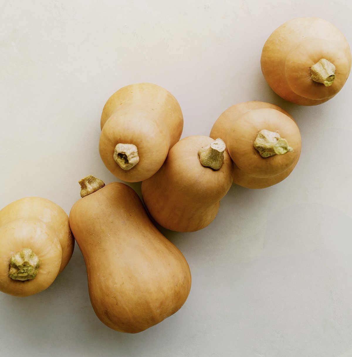 Honeypatch Squash Seeds