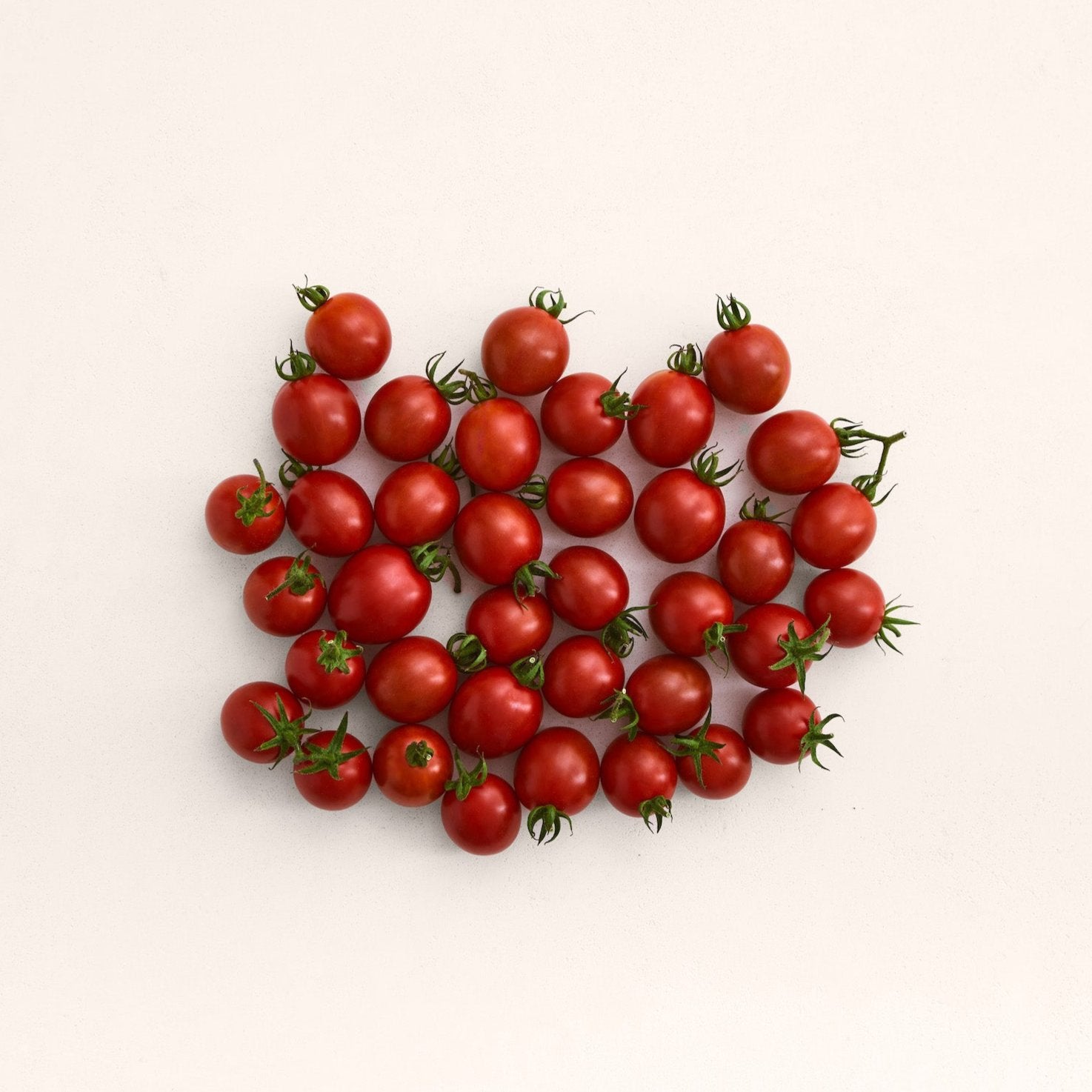 Sweet Prince Tomato Seeds