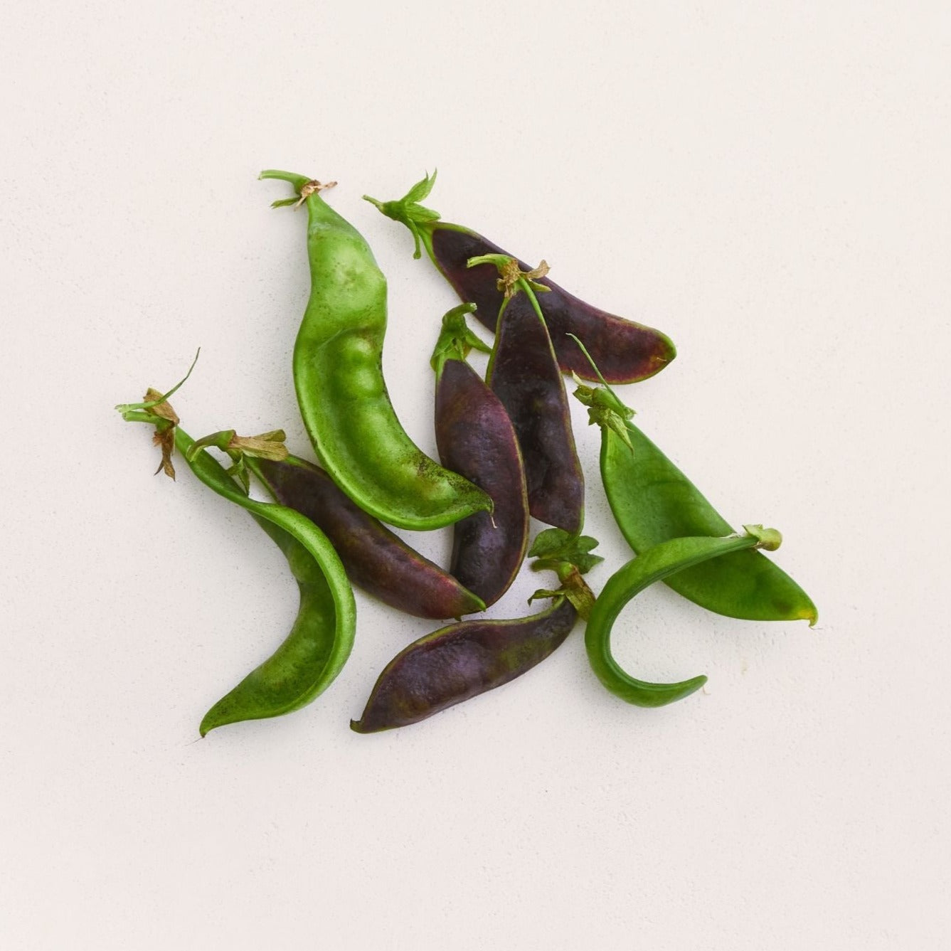 Sweet Wave Snow Pea Blend Seeds