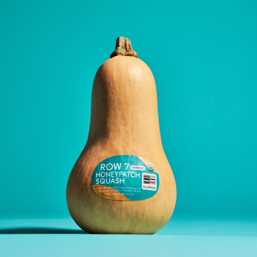 Honeypatch Squash