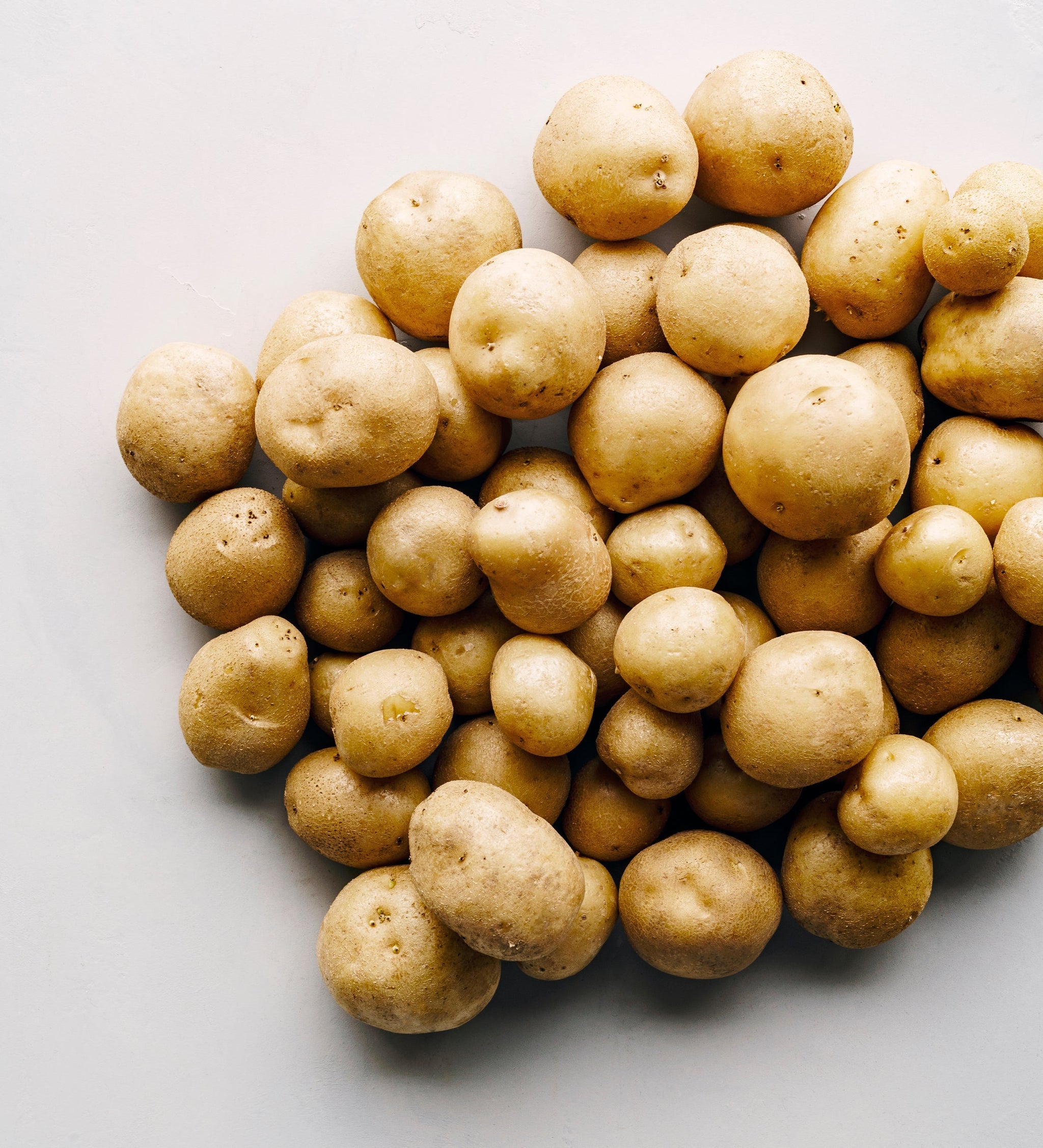 Upstate Abundance Seed Potatoes, image size:2048x2254