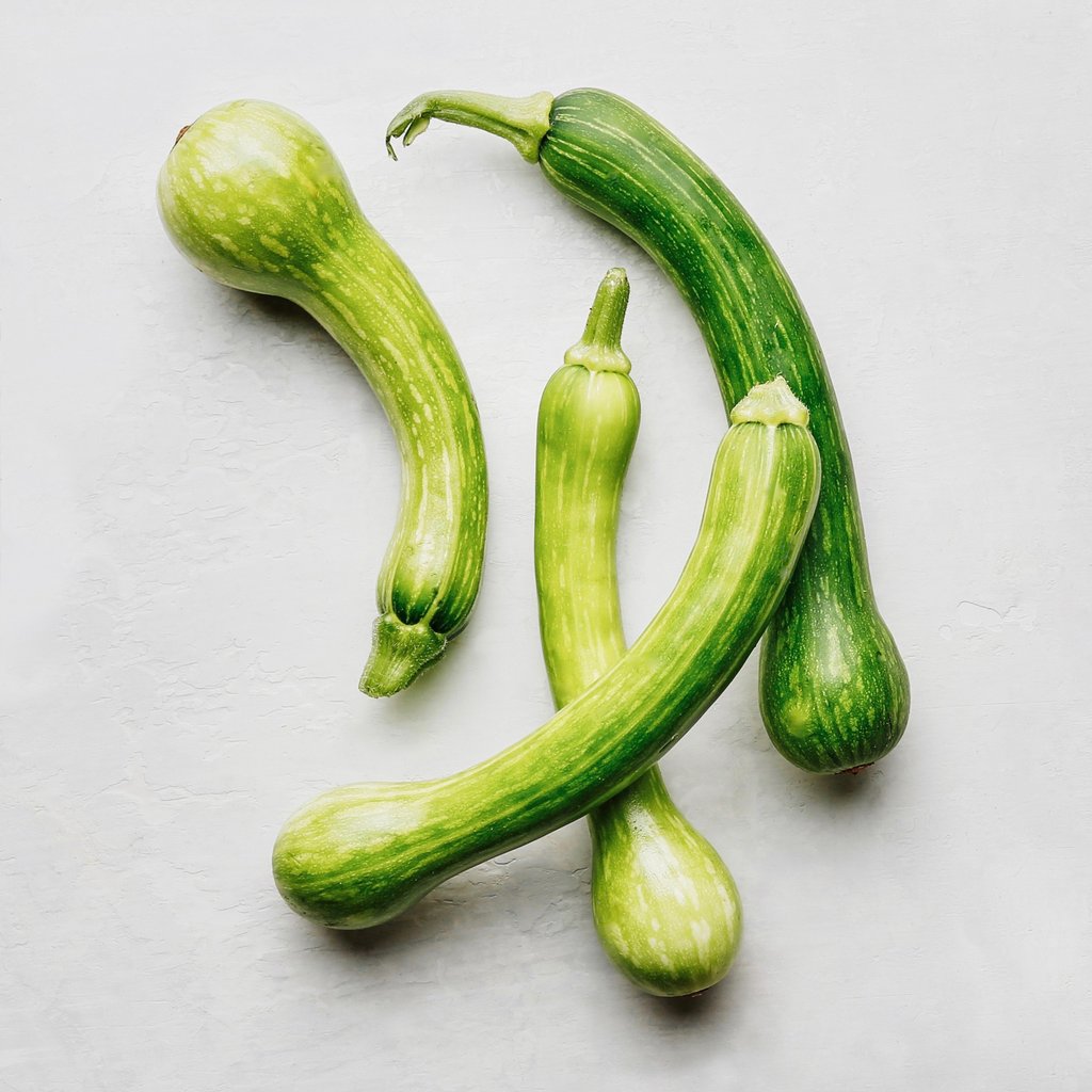 Centercut Squash Growing Guide