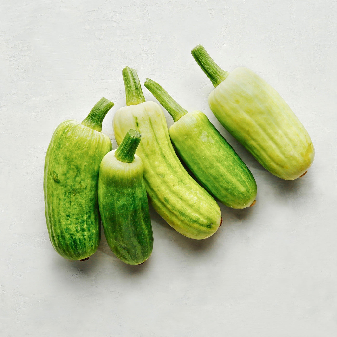 Tetra Squash