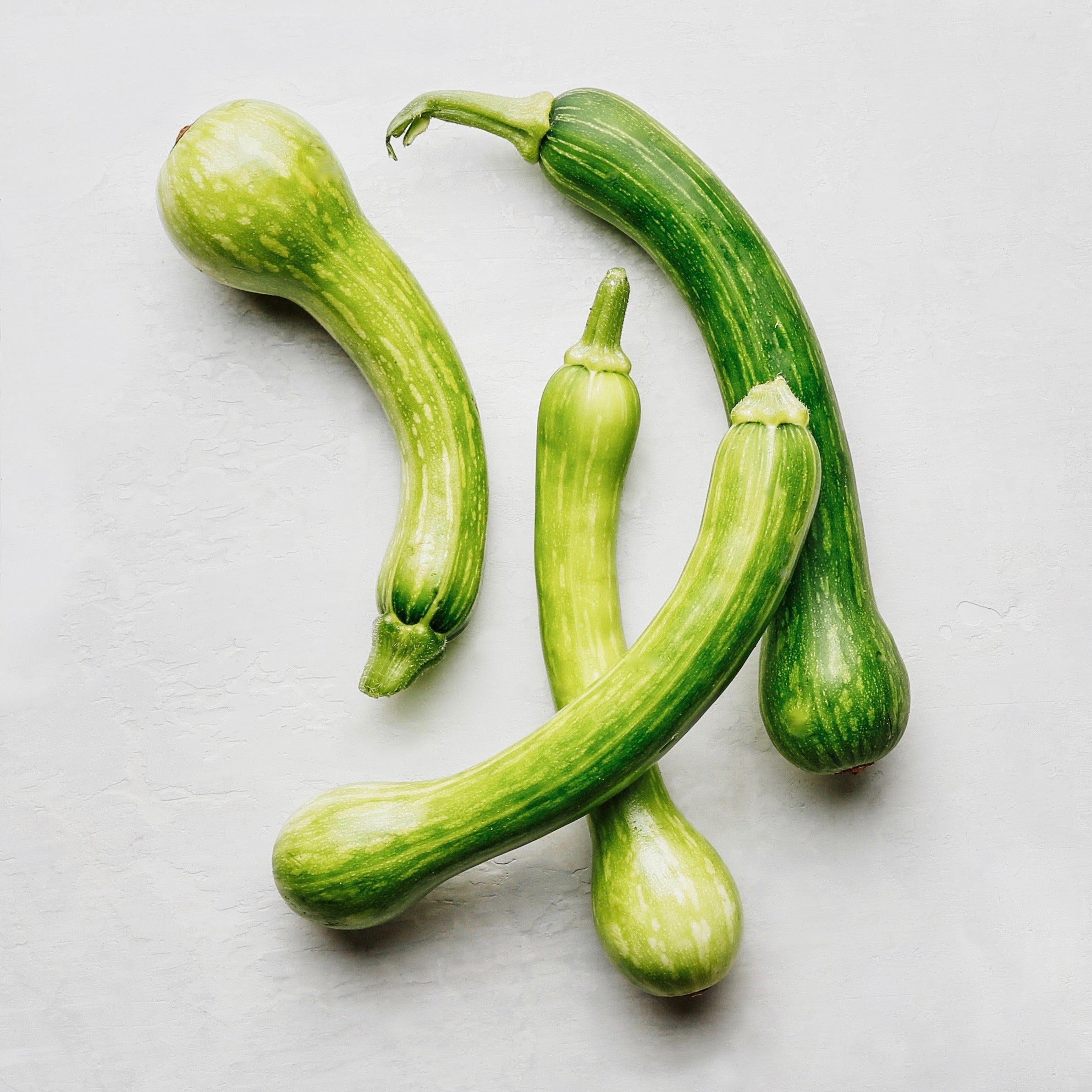 Centercut Squash Seeds