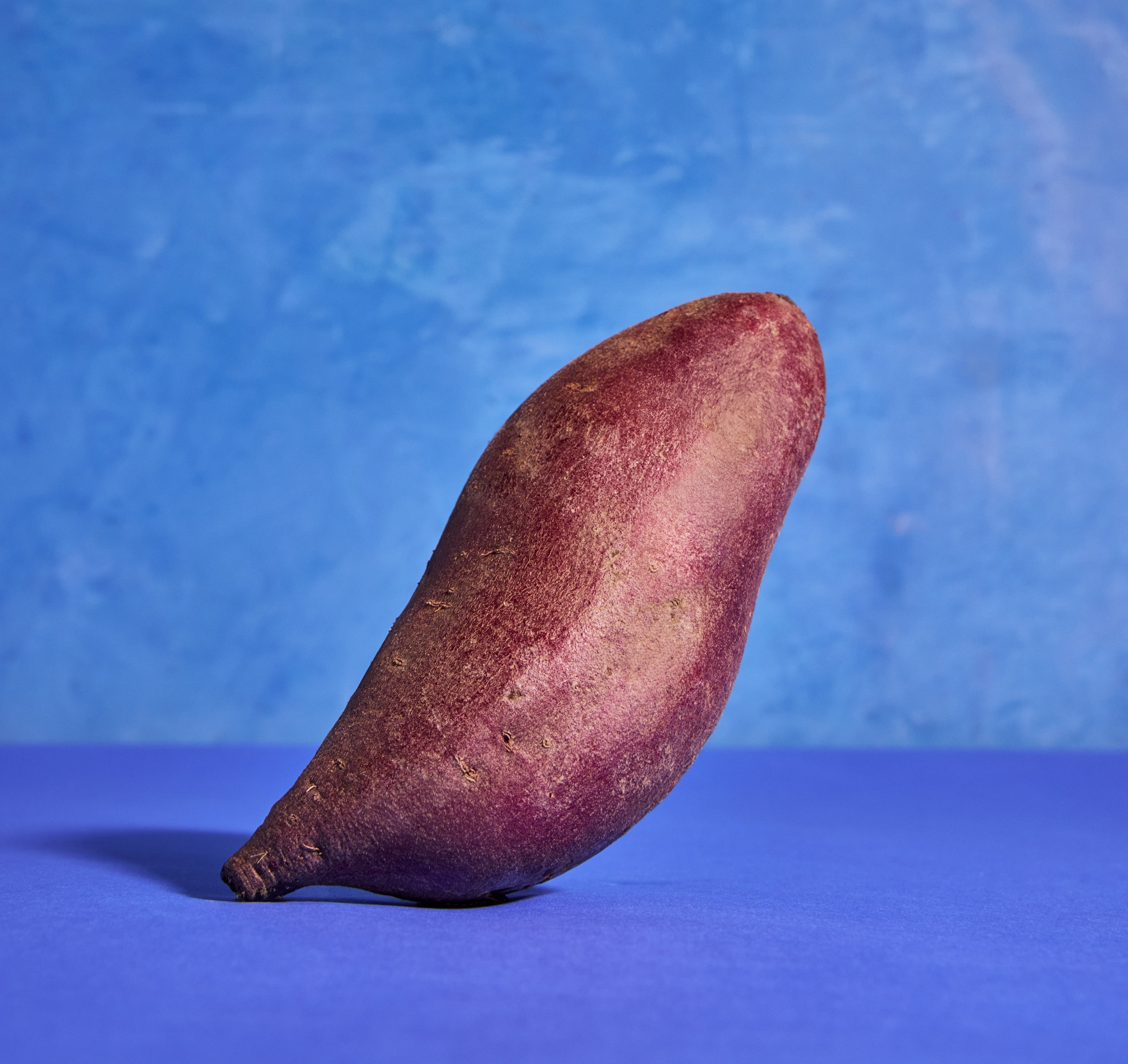 Starling Purple Sweet Potato