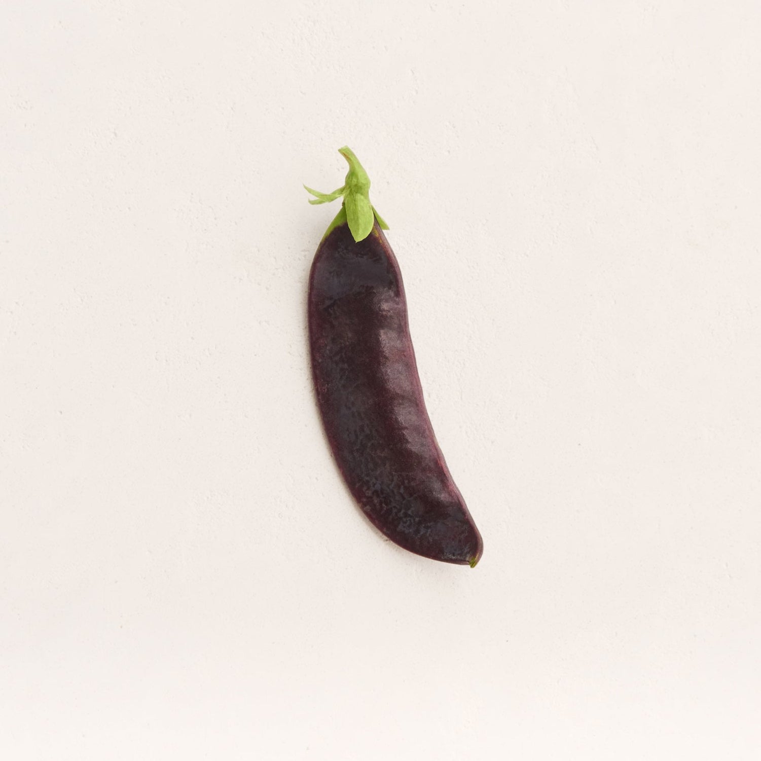 Beauregarde Snow Pea Seeds