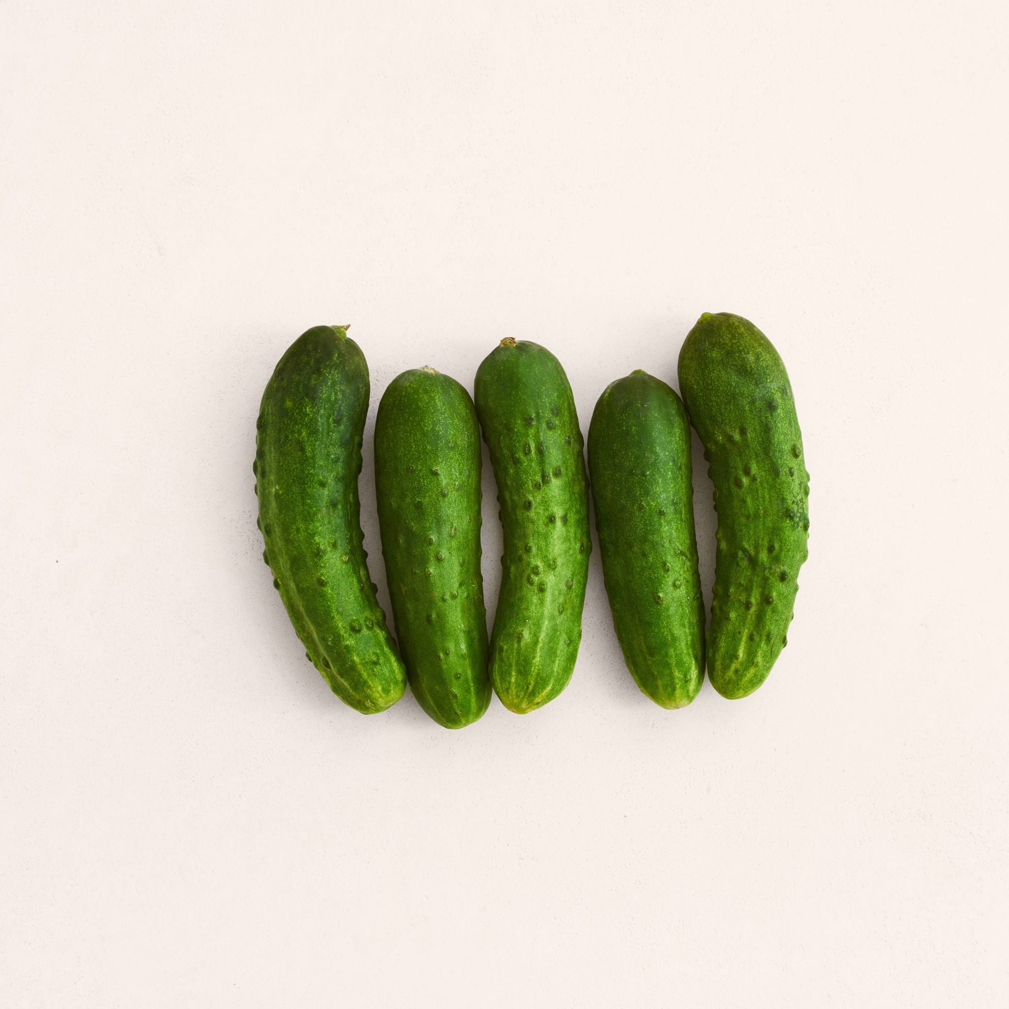 7082 Cucumber Seeds