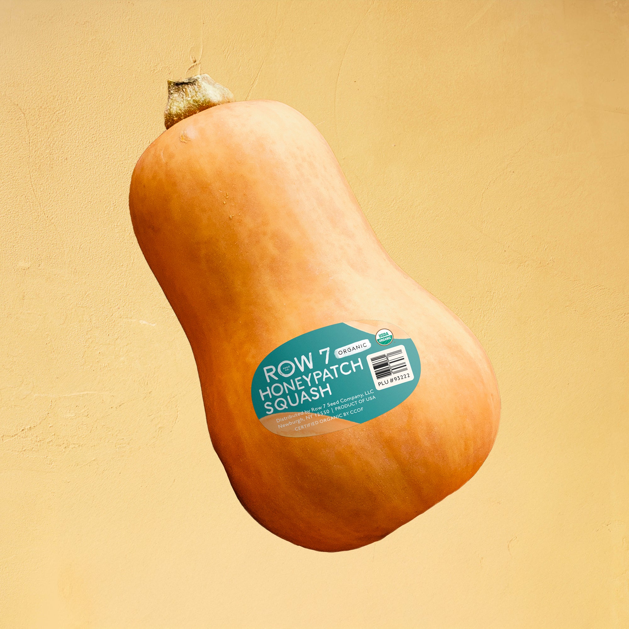 Honeypatch Squash