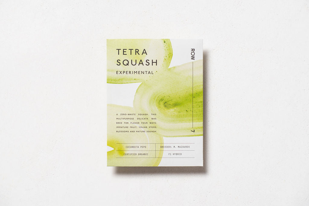 Tetra Squash Seeds