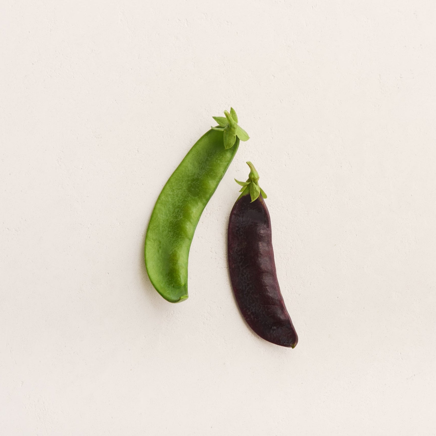 Sweet Wave Snow Pea Blend Seeds