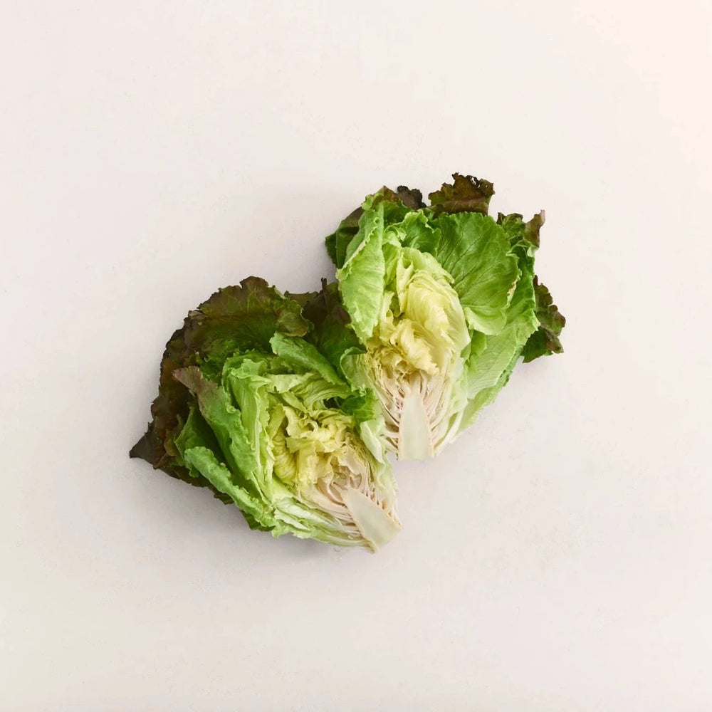 Teagan Lettuce